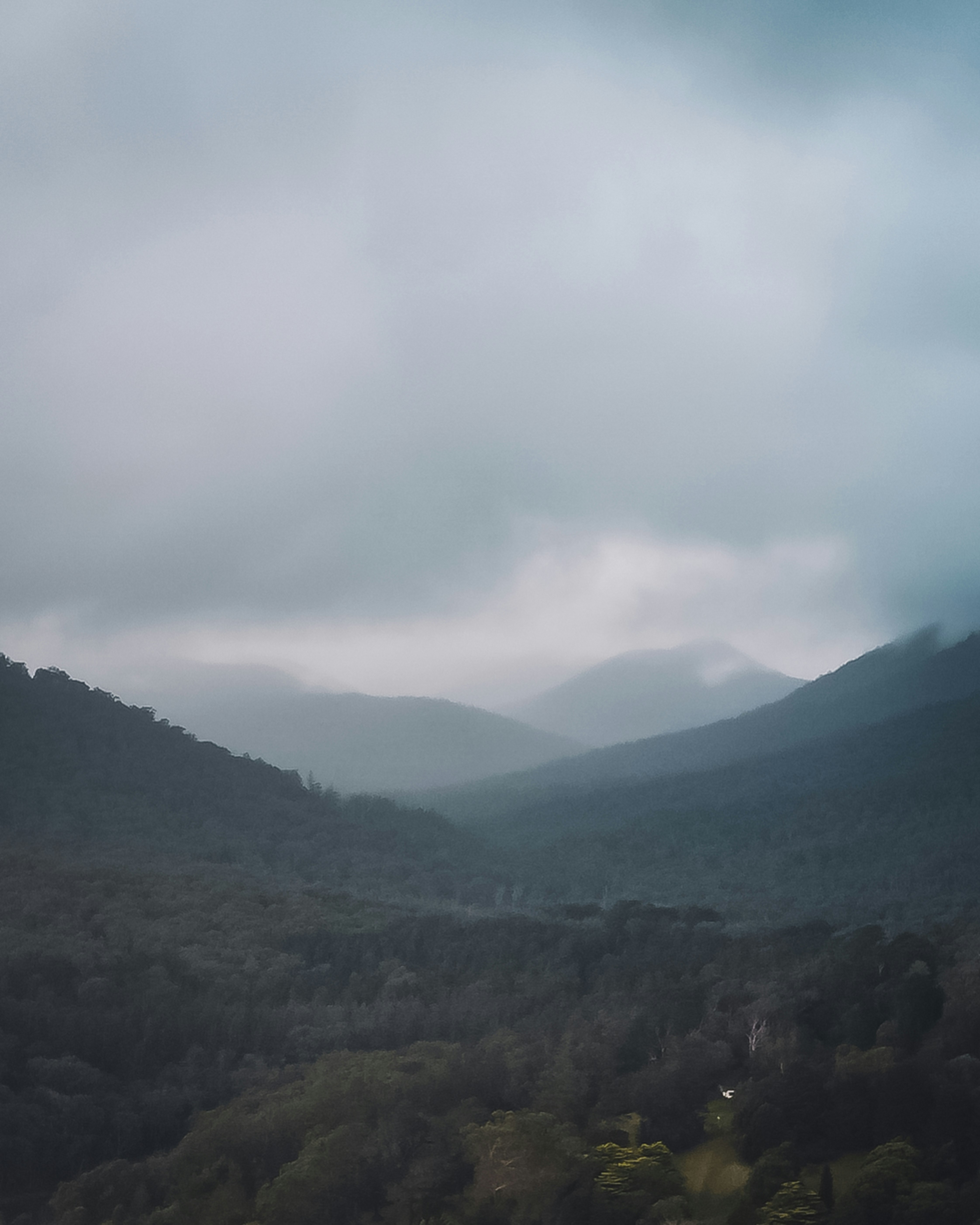 green trees on mountain under white clouds during daytime